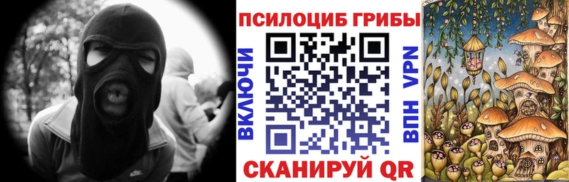 что такое наркотик  блэк спрут tor  Псилоцибиновые грибы Psilocybe  Новосиль 